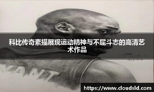 3377体育官网