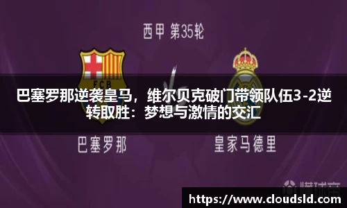 3377体育官网