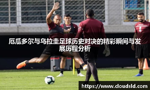 3377体育官网